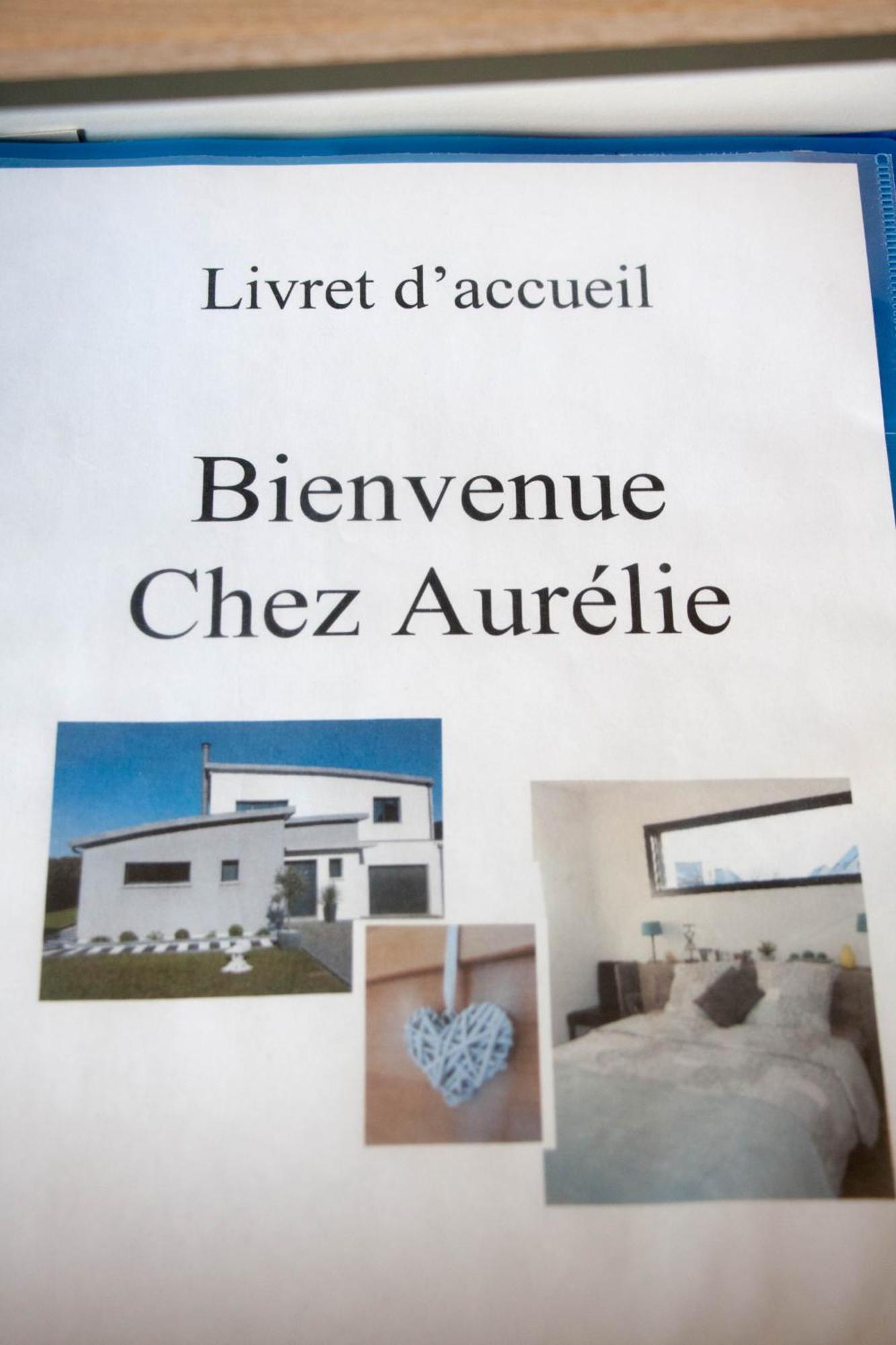 شقة Chez Aurelie Saint-Alban  المظهر الخارجي الصورة